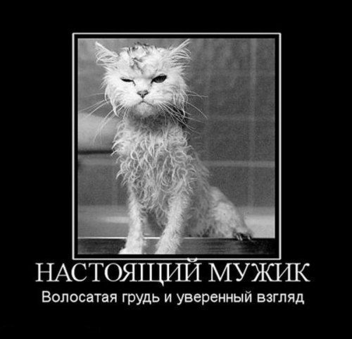 №101, Санечка Королева, 35 лет, Рыбинск №101, Санечка Королева, 35 лет, Рыбинск