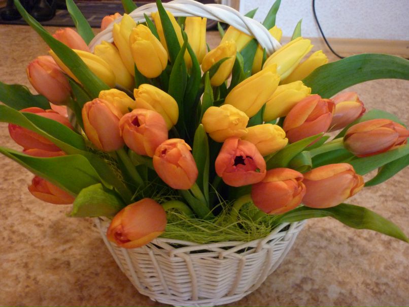 Лариса Грушева | Нижнекамск