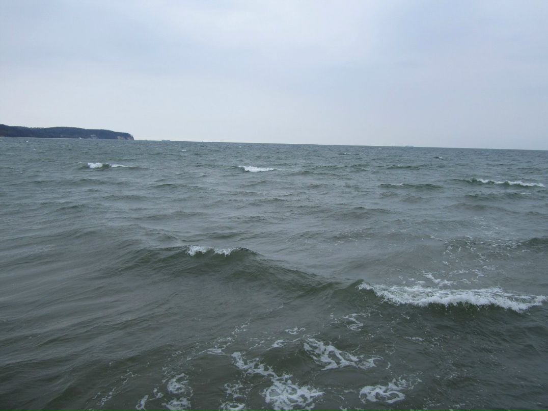 Таня Григорян | Санкт-Петербург