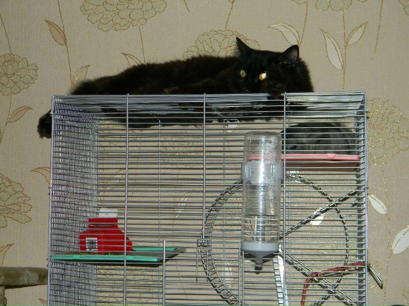 Светлана Лаптева | Москва