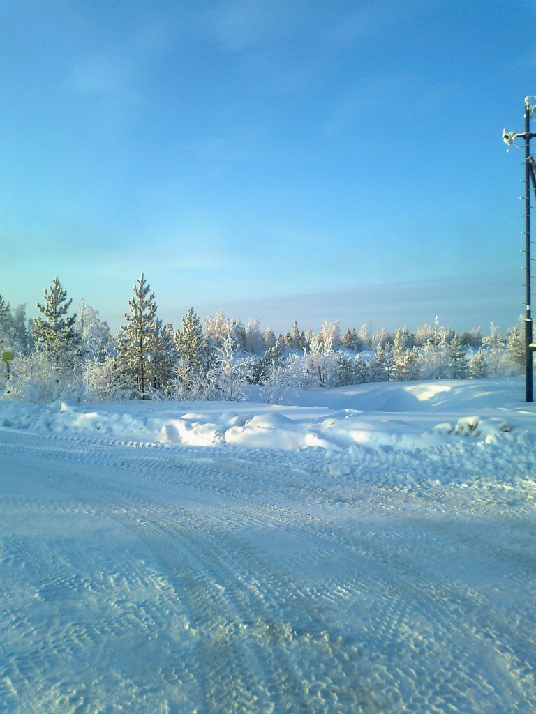 Светлана Ханипова | Шугурово