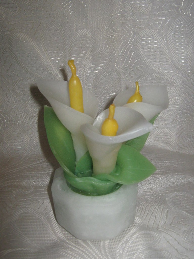 Надя Бичева | Симферополь