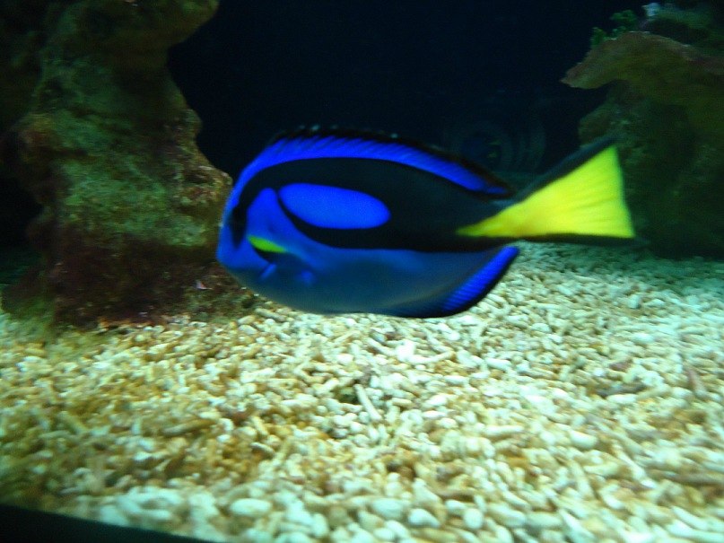 Олеся Кузина | Судак