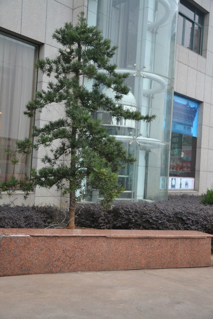 Алексей Конаков | Москва