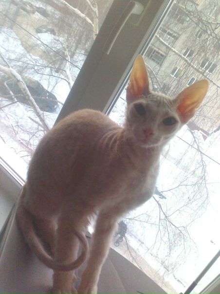 №5, Almazik Muxa-Metshin, Казань №5, Almazik Muxa-Metshin, Казань