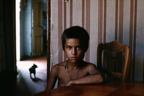 Илья Воксел | 