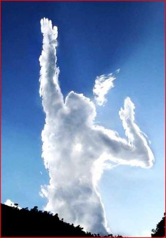 №5, Светлана Харькова, 44 года, Запорожье №5, Светлана Харькова, 44 года, Запорожье