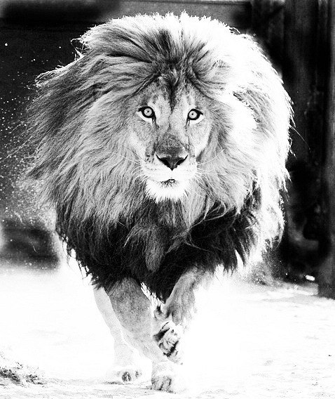 Екатерина Шестакова ๑۩۩๑ | Москва