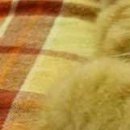 №73, Александр Нетипанов, 46 лет, Санкт-Петербург №73, Александр Нетипанов, 46 лет, Санкт-Петербург