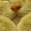 №39, Александр Нетипанов, 46 лет, Санкт-Петербург №39, Александр Нетипанов, 46 лет, Санкт-Петербург