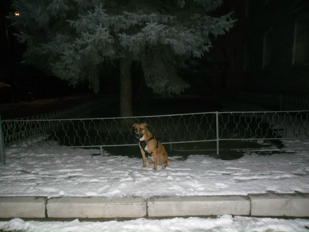 Александр Александров | Запорожье