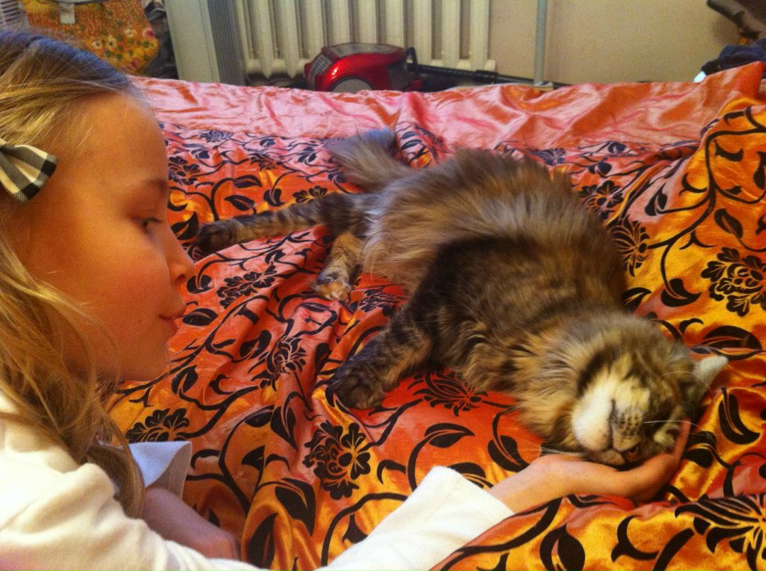 Екатерина Аккузина | Санкт-Петербург