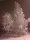 Фотография Денис Лабуткин