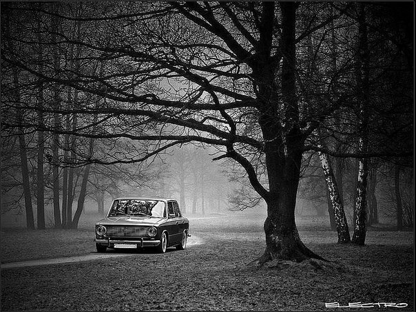 Vova Savenko |⎮..ιllιlι.ιl.  ⎮ | | Никополь