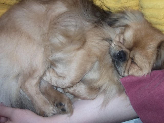 Мария Свентицкайте | Калининград