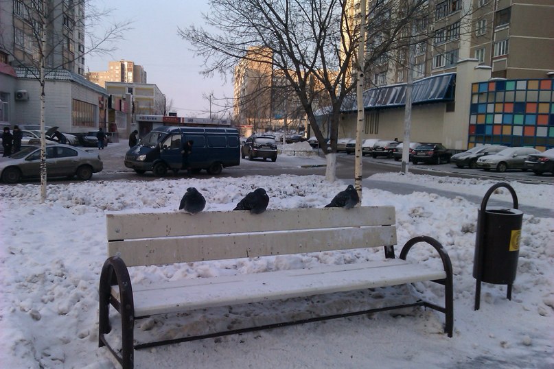 Илья Федотов | Москва