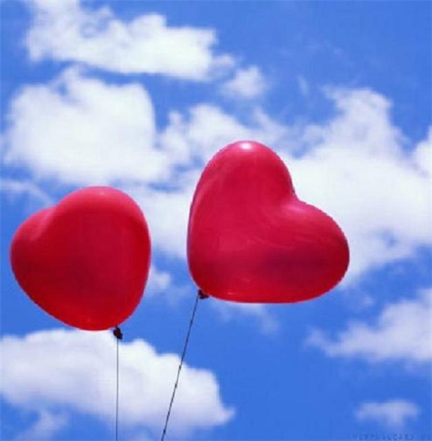 Вероника Баган | Кривой Рог