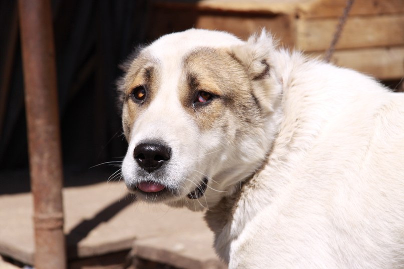 Анастасия Ядренцева | Каменск-Уральский