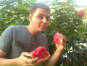 №40 Сергей Седов 18.09.1989: профиль, фото, статус - ВКонтакте