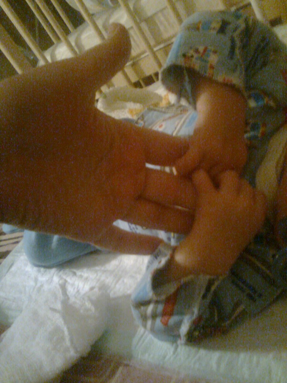 Светлана Царегородцева | Ижевск