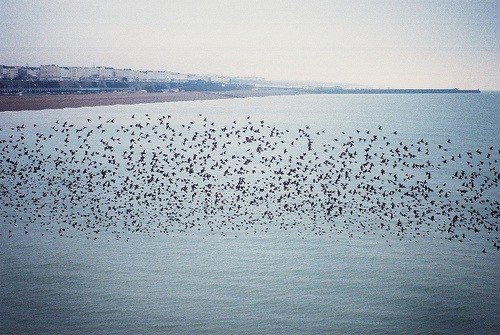 Александра Завада | Киев