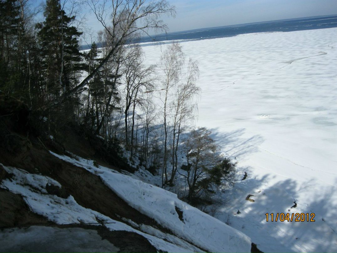Максим Гаряев | Санкт-Петербург