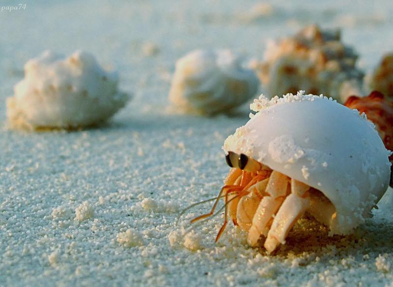 Игорь Погорельцев Unit Креведко | Минск