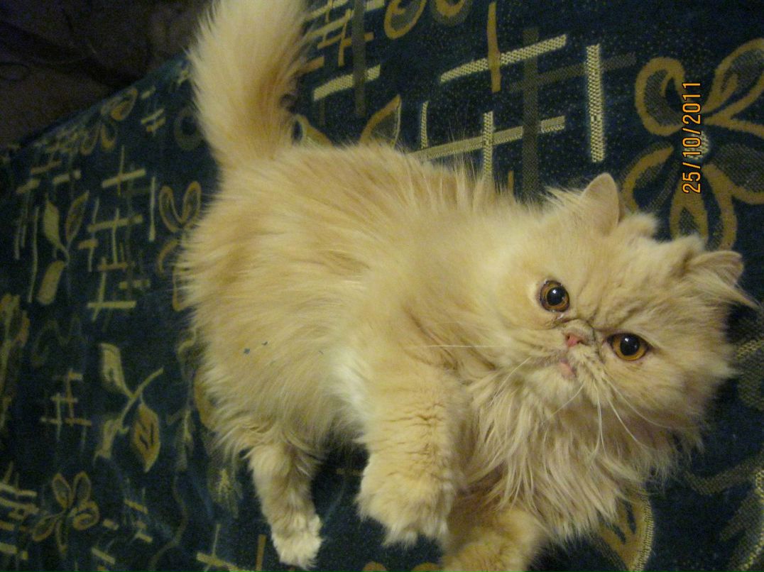 Наталия Соловьева | Санкт-Петербург