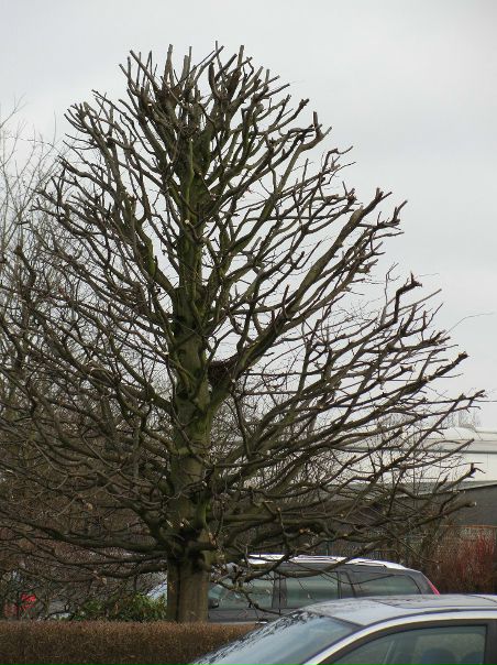 №94, Сергей Монахов, Днепр (Днепропетровск) №94, Сергей Монахов, Днепр (Днепропетровск)