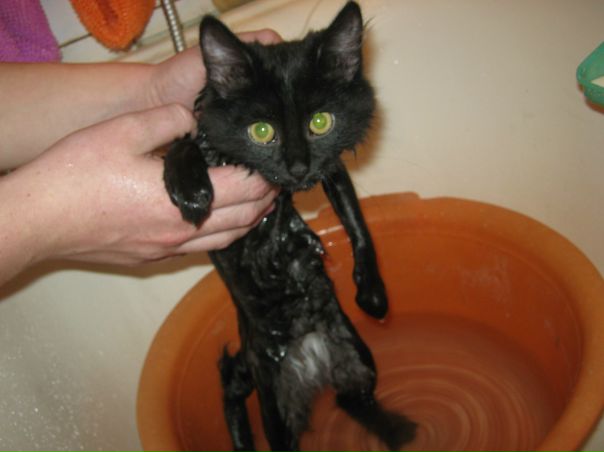 №2, Инна Ломакина, Белорецк №2, Инна Ломакина, Белорецк