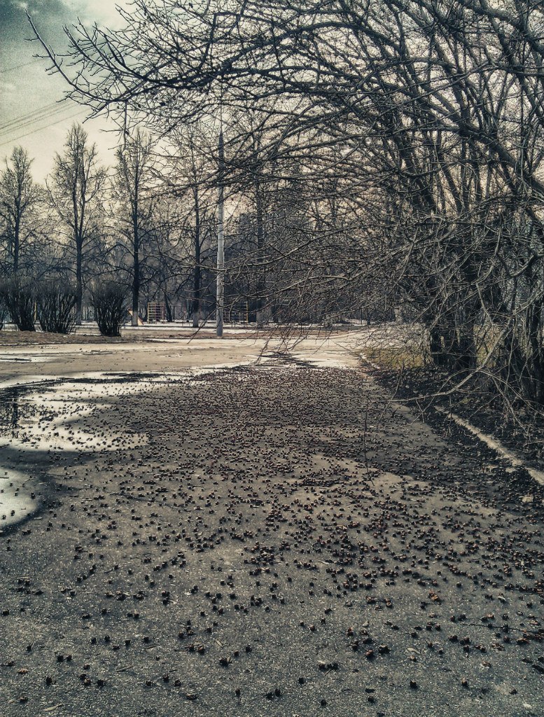 Антон Ерохин | Москва