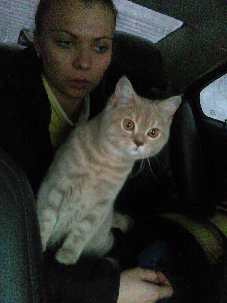 Юлия Кузнецова | Красноярск