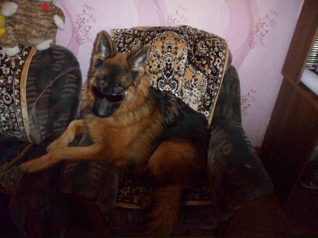 Екатерина Гравшенкова | Хабаровск