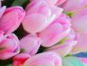 Анюта Долудар | Мирный