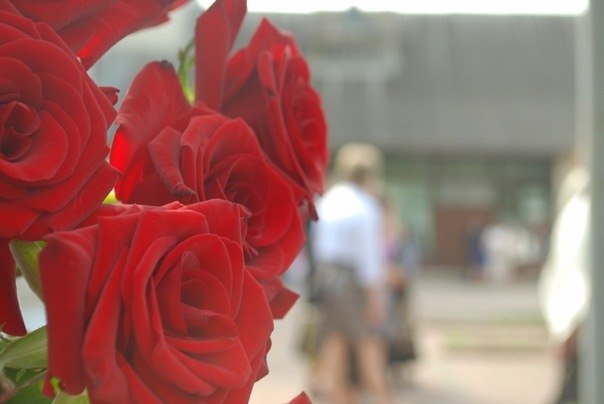 №36, Ксенія Янків, Бурштын №36, Ксенія Янків, Бурштын