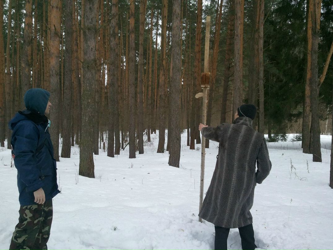 Артем Олин | Кострома