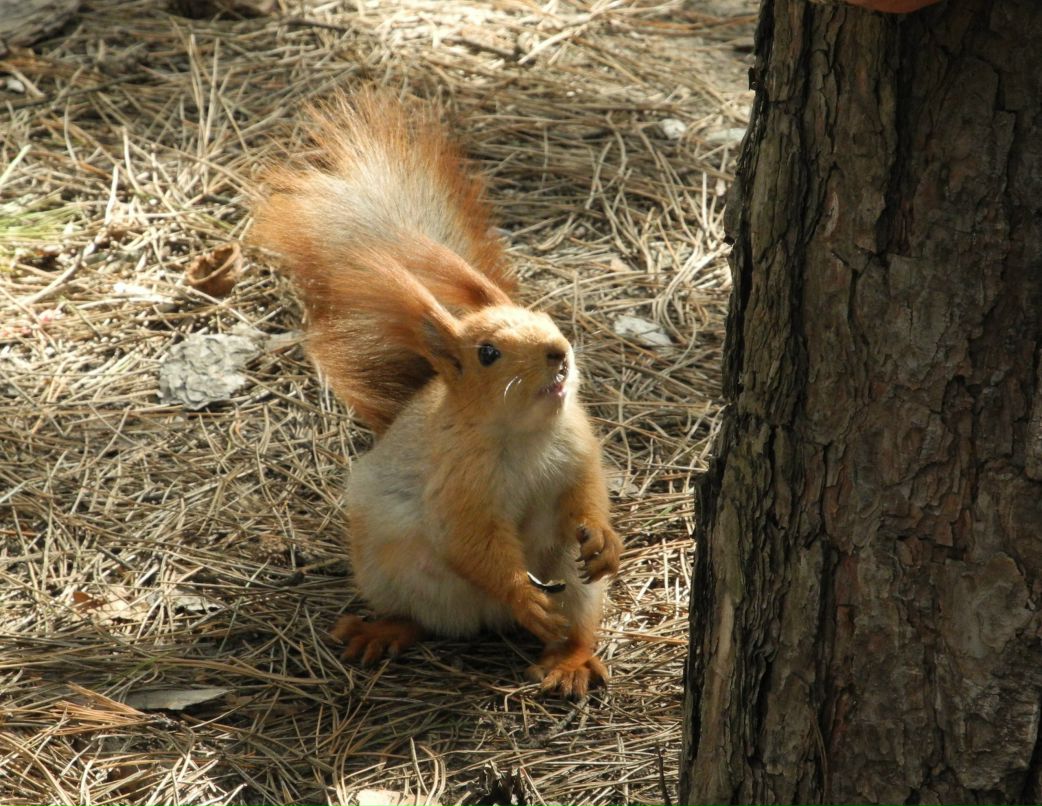 Ольга Никитина | Днепр (Днепропетровск)