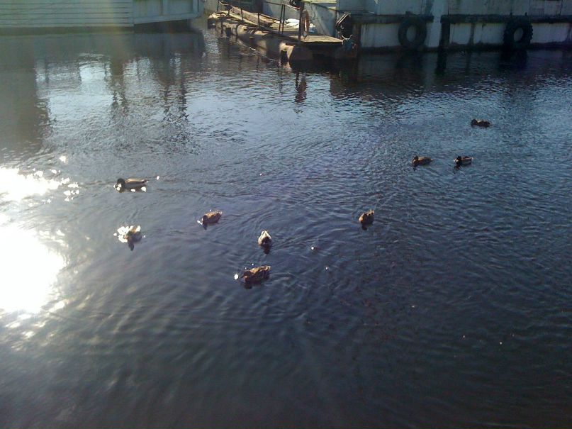 Роман Фёдоров | Сургут