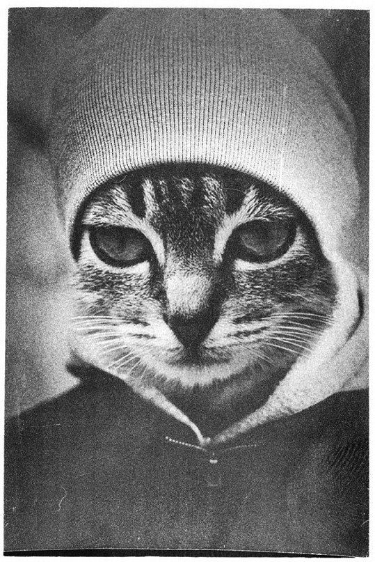 Георгий Вохминцев | Екатеринбург