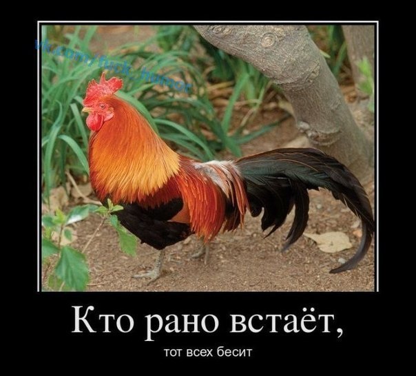 Sergey Shilo -TRINITY- | Запорожье