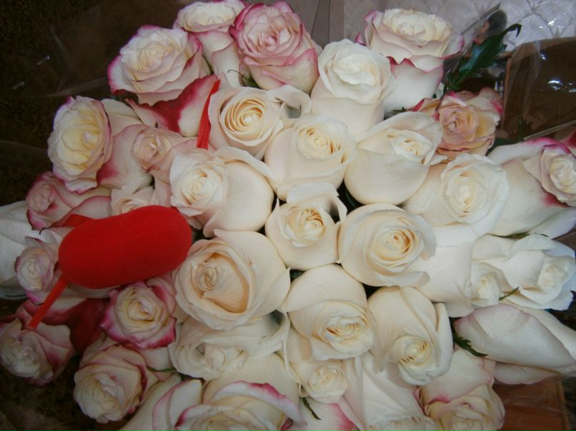 Юлия Сергейчева | Бирск