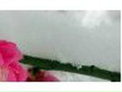 Ирина Курдюмова | Коряжма