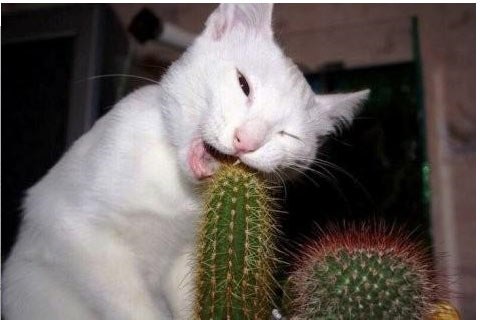 Артем Усов [RELEASE YOUR ANGER] | 