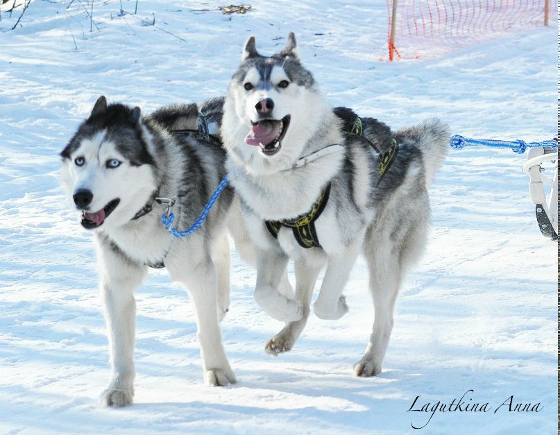 Anyta Lagutkina | Санкт-Петербург