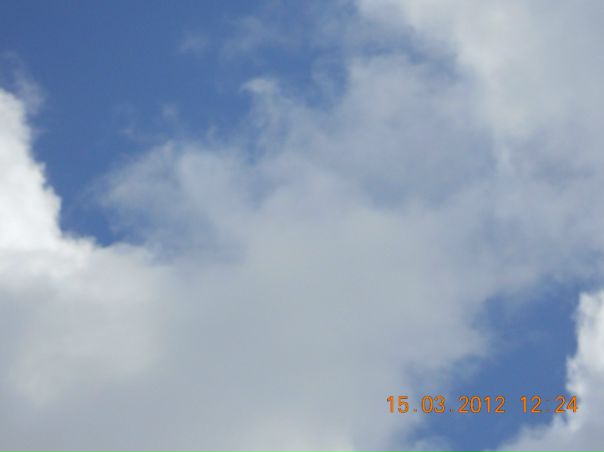 №17, Алексей Белокуров, Санкт-Петербург №17, Алексей Белокуров, Санкт-Петербург