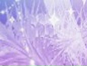 Vikki Nesen | Санкт-Петербург