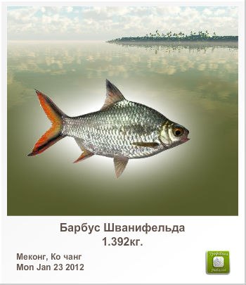 Ирина Васильок | Киев