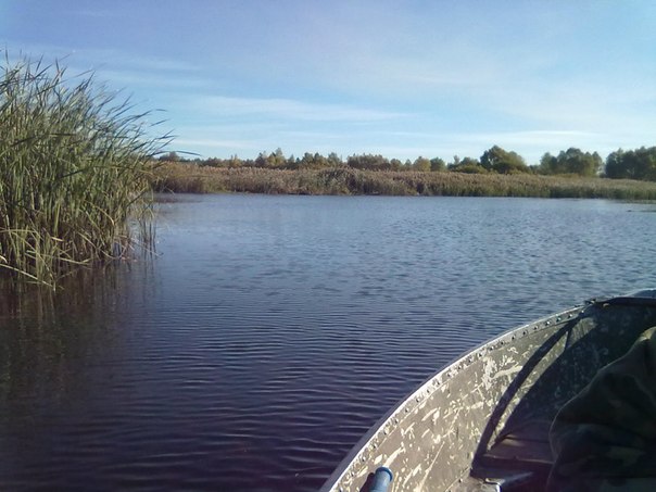 №8, Илья Володиков, 39 лет, Киев №8, Илья Володиков, 39 лет, Киев