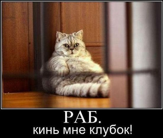 Семен Иванов | 