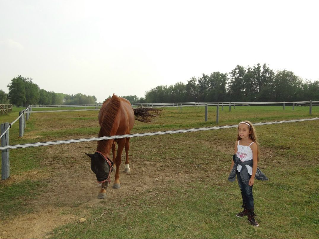 Светлана Трофимова | Санкт-Петербург